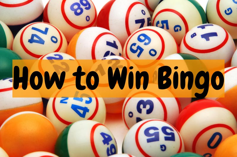 How to Win Bingo